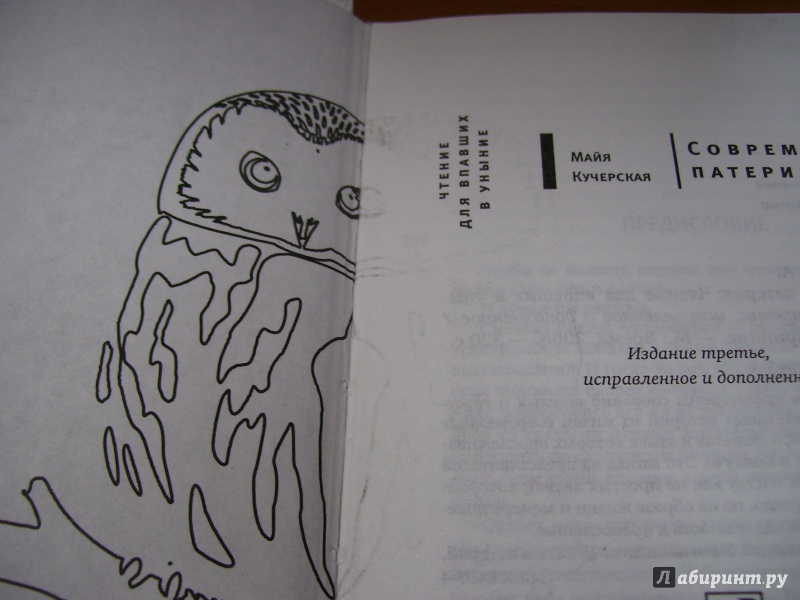 Иллюстрация 3 из 27 для Современный патерик. Чтение для впавших в уныние - Майя Кучерская | Лабиринт - книги. Источник: КошкаПолосатая