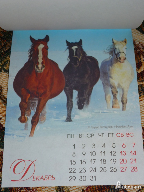 Иллюстрация 17 из 17 для Календарь на магните на 2014 год "Символ года" | Лабиринт - сувениры. Источник: Шубина  Диана Владимировна