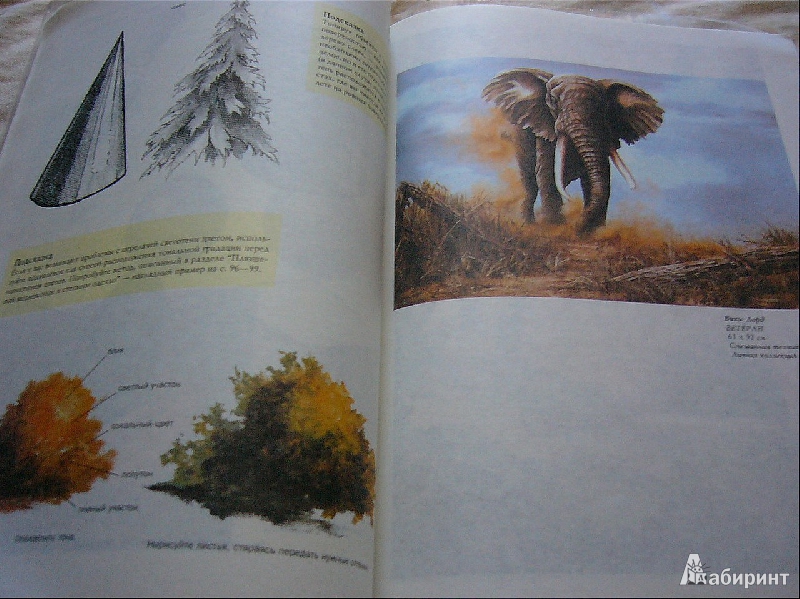 Иллюстрация 4 из 23 для Рисунок акриловыми красками - Вики Лорд | Лабиринт - книги. Источник: Nika