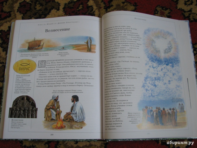 Иллюстрация 23 из 32 для Иллюстрированная Библия для детей - Селина Гастингс | Лабиринт - книги. Источник: HannaAA
