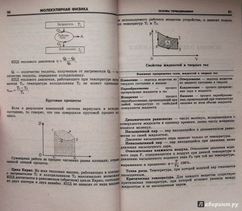 Иллюстрация 15 из 29 для Физика в формулах и схемах. ФГОС | Лабиринт - книги. Источник: Соловьев  Владимир