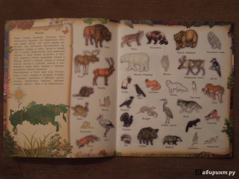 Иллюстрация 3 из 31 для 400 наклеек. Животные. Самая необыкновенная книга | Лабиринт - книги. Источник: ealaz