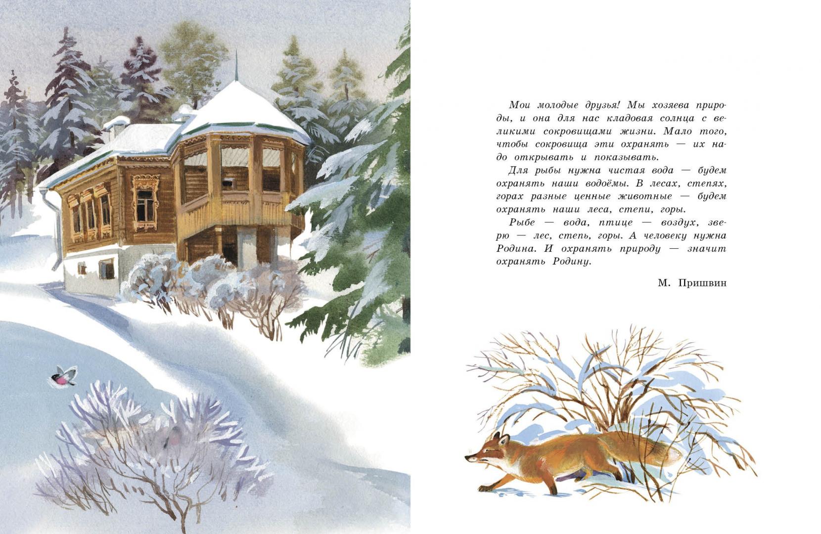 Иллюстрация 2 из 54 для Беличья память - Михаил Пришвин | Лабиринт - книги. Источник: Издательство  Стрекоза
