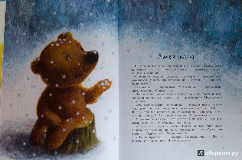 Иллюстрация 7 из 91 для Про Ежика и Медвежонка - Сергей Козлов | Лабиринт - книги. Источник: Tatianka_G