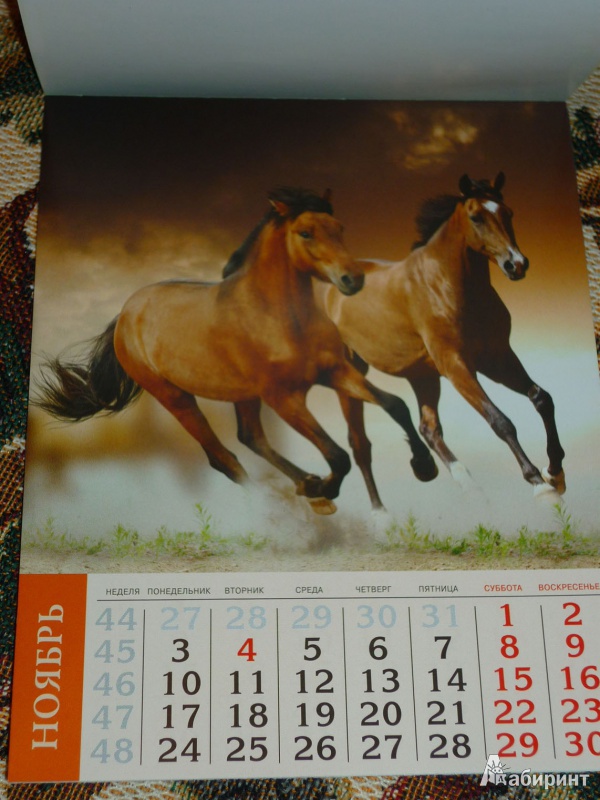 Иллюстрация 12 из 12 для Календарь на 2014 год с магнитным креплением "Символ года. Лошадь 3" (32021) | Лабиринт - сувениры. Источник: Шубина  Диана Владимировна