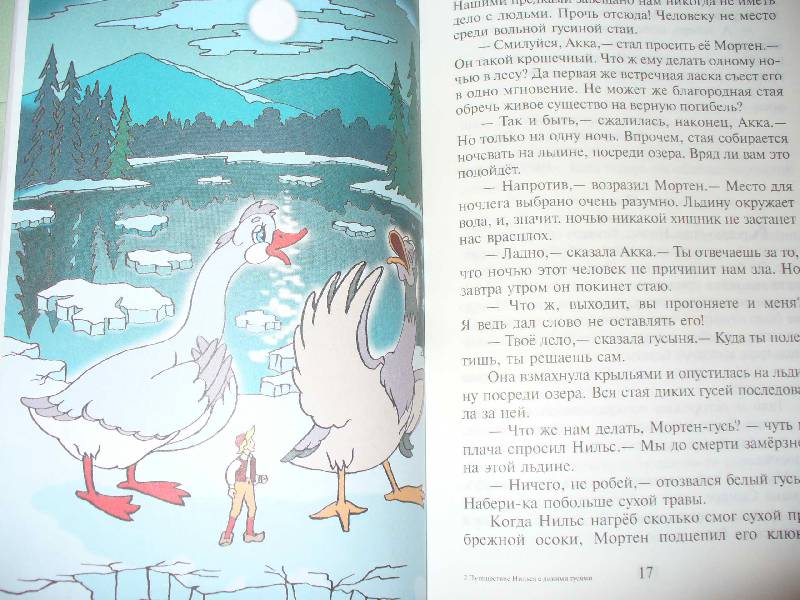 Иллюстрация 17 из 46 для Чудесное путешествие Нильса с дикими гусями - Сельма Лагерлеф | Лабиринт - книги. Источник: Змей Горыныч
