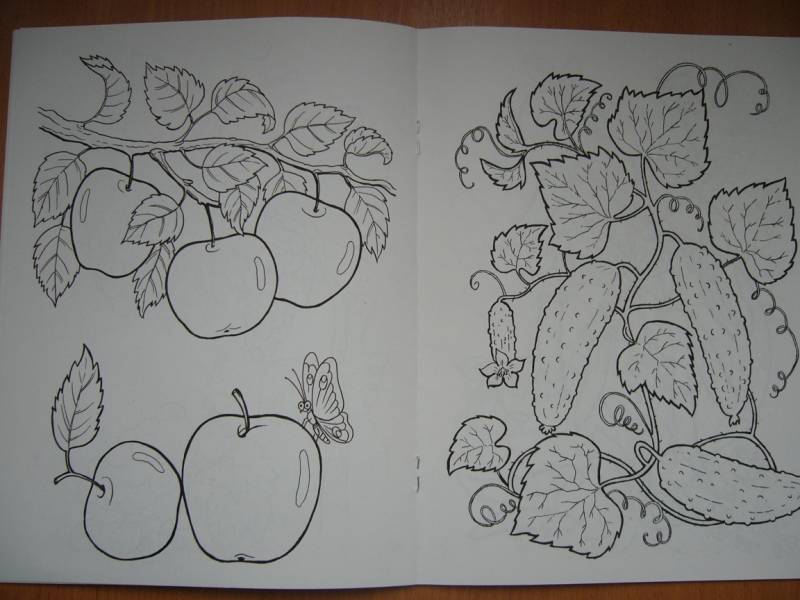 Иллюстрация 6 из 16 для Что растет в саду | Лабиринт - книги. Источник: Мама Саши