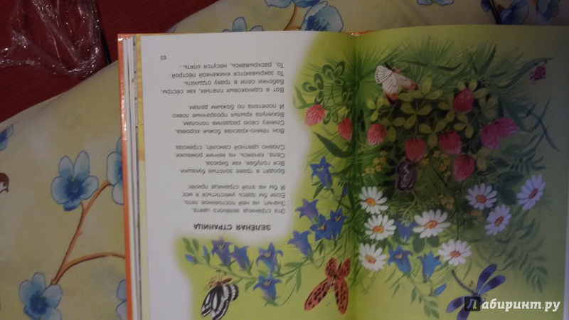 Иллюстрация 121 из 329 для Стихи и сказки для самых маленьких - Самуил Маршак | Лабиринт - книги. Источник: Аскаров  Роман Николаевич