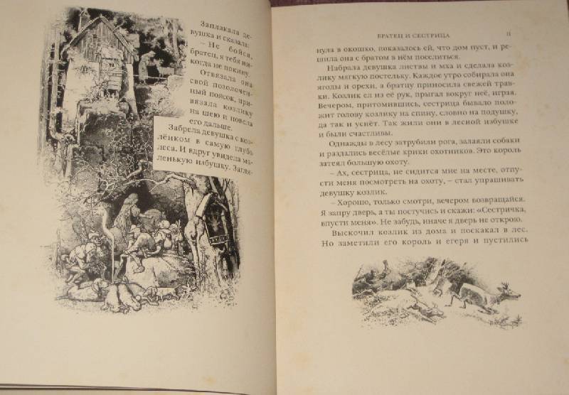 Иллюстрация 45 из 68 для Сказки - Гримм Якоб и Вильгельм | Лабиринт - книги. Источник: Трухина Ирина