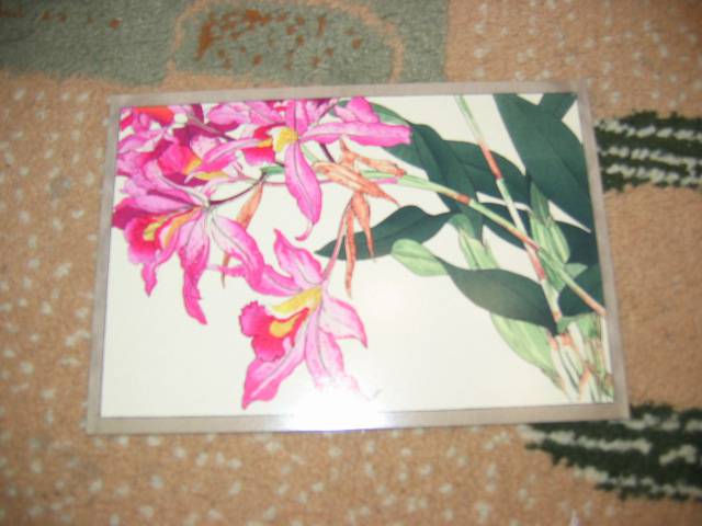 Иллюстрация 8 из 32 для Цветы Конана Танигами. На почтовых открытках | Лабиринт - сувениры. Источник: Мама Ольга