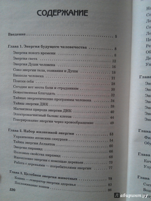 Иллюстрация 3 из 18 для Многомерная энергия Вселенной. Программа здоровья и защиты - Геннадий Кибардин | Лабиринт - книги. Источник: Виноградинка