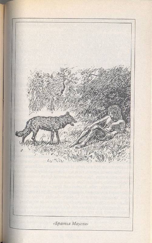 Иллюстрация 10 из 11 для Книга джунглей: Рассказы, легенды, сказки - Редьярд Киплинг | Лабиринт - книги. Источник: Бри