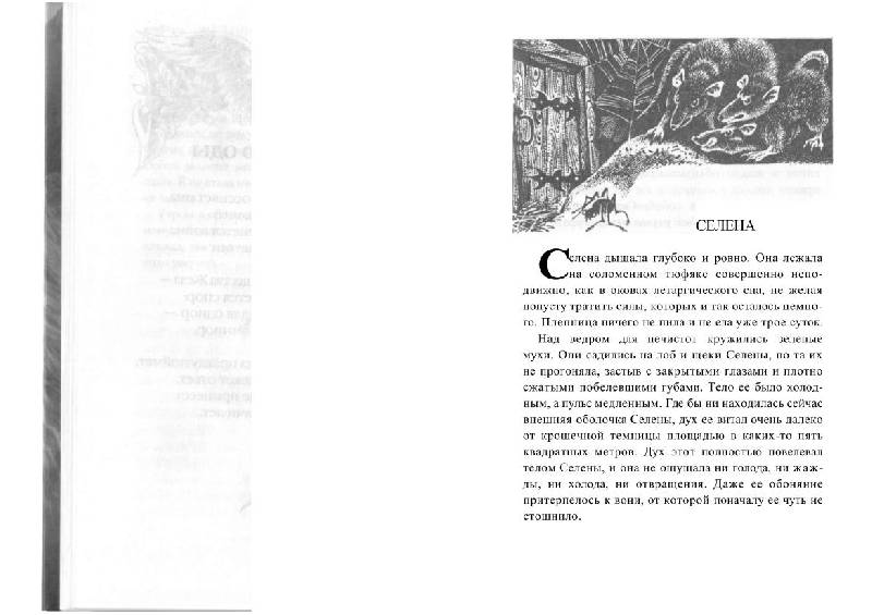 Иллюстрация 3 из 11 для Клан Волчицы - Майте Карранса | Лабиринт - книги. Источник: Флинкс