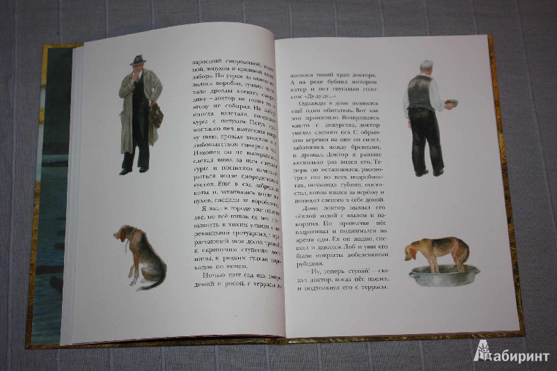 Иллюстрация 5 из 46 для Арктур - гончий пёс - Юрий Казаков | Лабиринт - книги. Источник: Михайлова Алексия