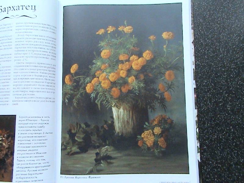 Иллюстрация 3 из 44 для Самые красивые цветы мира | Лабиринт - книги. Источник: Обычная москвичка