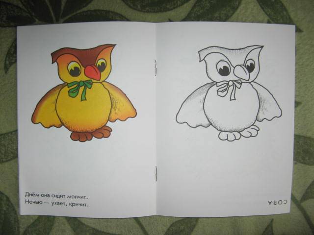 Иллюстрация 3 из 3 для Игрушечный зоопарк. Раскраска для детей 4-5 лет | Лабиринт - книги. Источник: libe