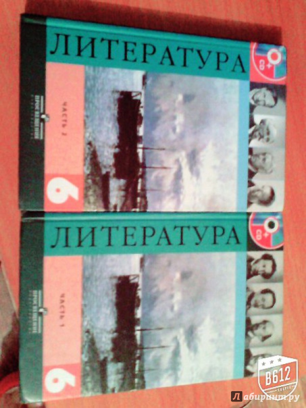 Иллюстрация 59 из 73 для Литература. 6 класс. Учебник. В 2-х частях. ФГОС - Коровина, Полухина, Журавлев | Лабиринт - книги. Источник: Бурдинская  Оля