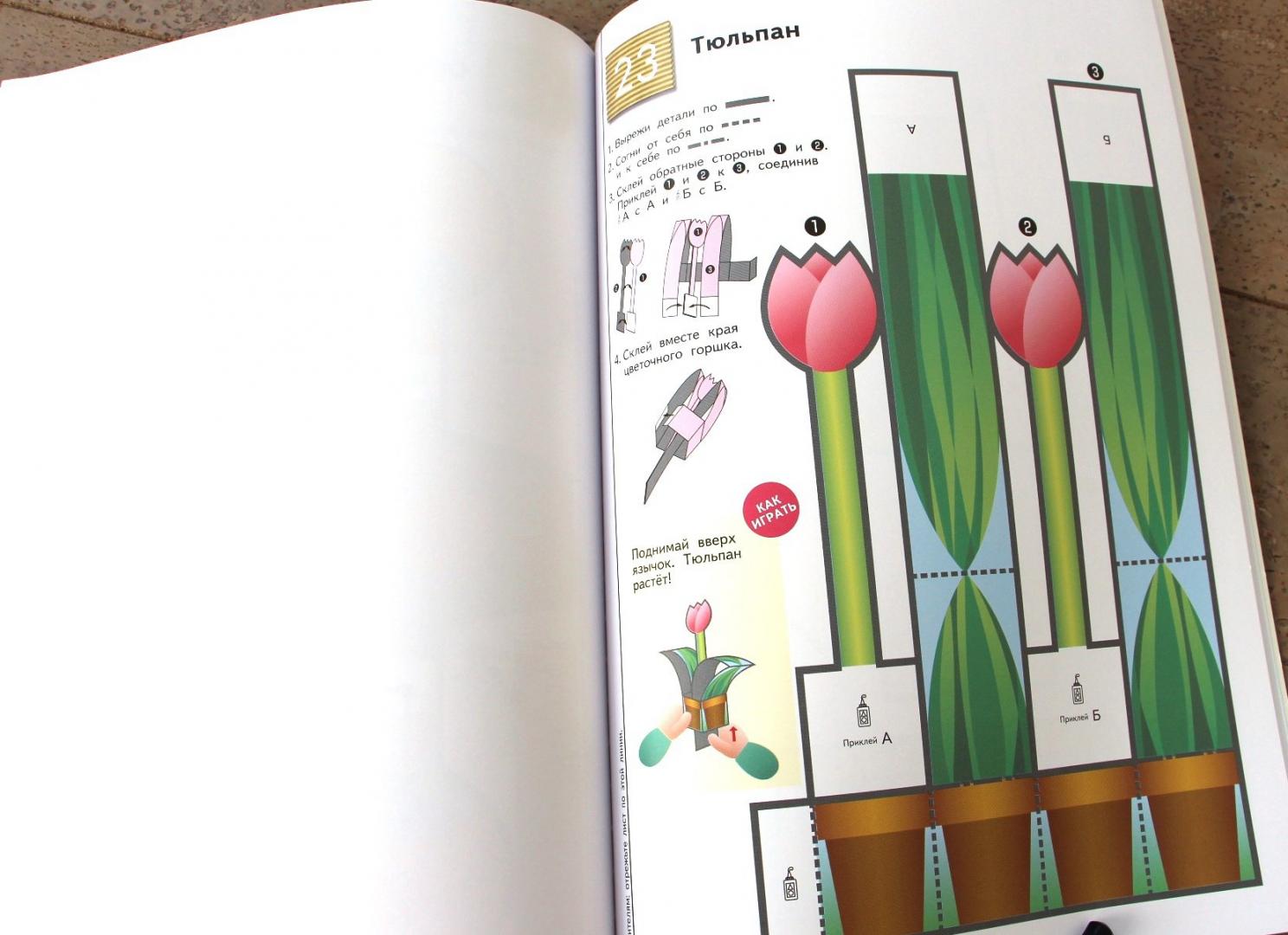 Kumon поделки