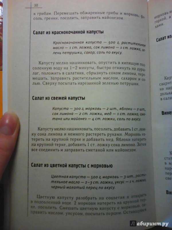 Иллюстрация 6 из 11 для Современная кулинария для начинающих - Наталия Лукашенко | Лабиринт - книги. Источник: Анастасия Салангина