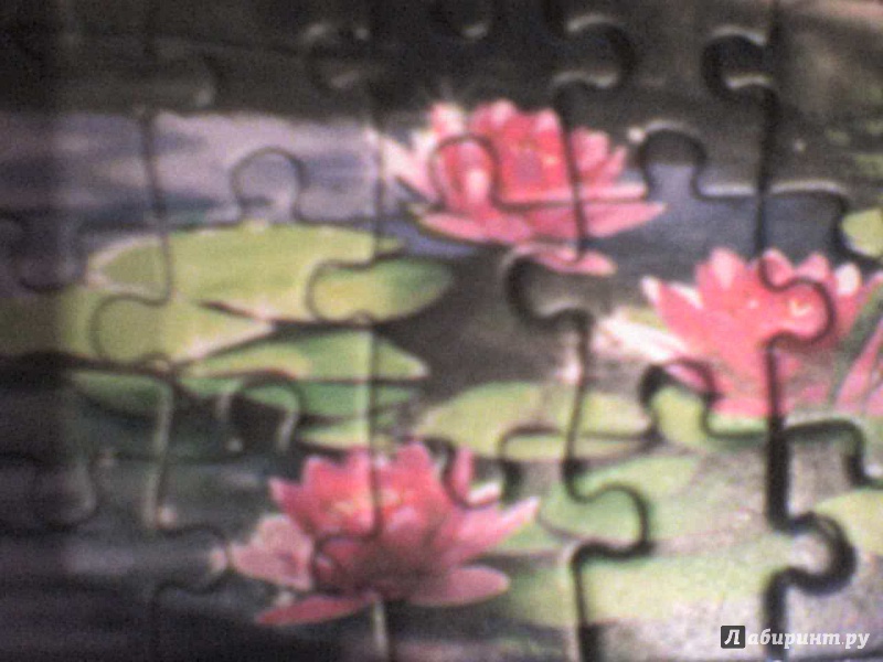 Иллюстрация 5 из 5 для Puzzle-500 "Волшебный сад" (B-52127) | Лабиринт - игрушки. Источник: Роза с шипами