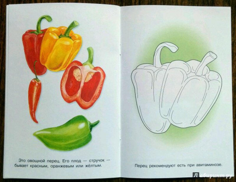 Иллюстрация 13 из 18 для Раскраска. Раскрашиваем и учимся. Овощи | Лабиринт - книги. Источник: Natalie Leigh