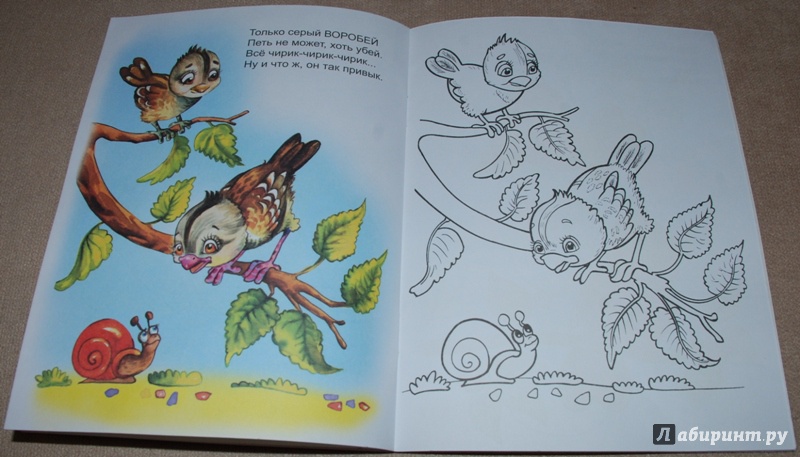 Иллюстрация 18 из 26 для Птичьи голоса - Юрий Чичев | Лабиринт - книги. Источник: Книжный кот
