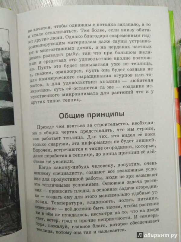 Иллюстрация 15 из 31 для Урожайные теплицы и парники. Своими руками - Сергей Малай | Лабиринт - книги. Источник: Тайна