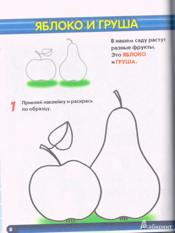 Иллюстрация 8 из 16 для Овощи. Фрукты. Ягоды. Маша и Медведь. 2-3 года | Лабиринт - книги. Источник: СветланаС