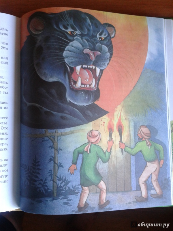 Иллюстрация 28 из 32 для Маугли - Редьярд Киплинг | Лабиринт - книги. Источник: v