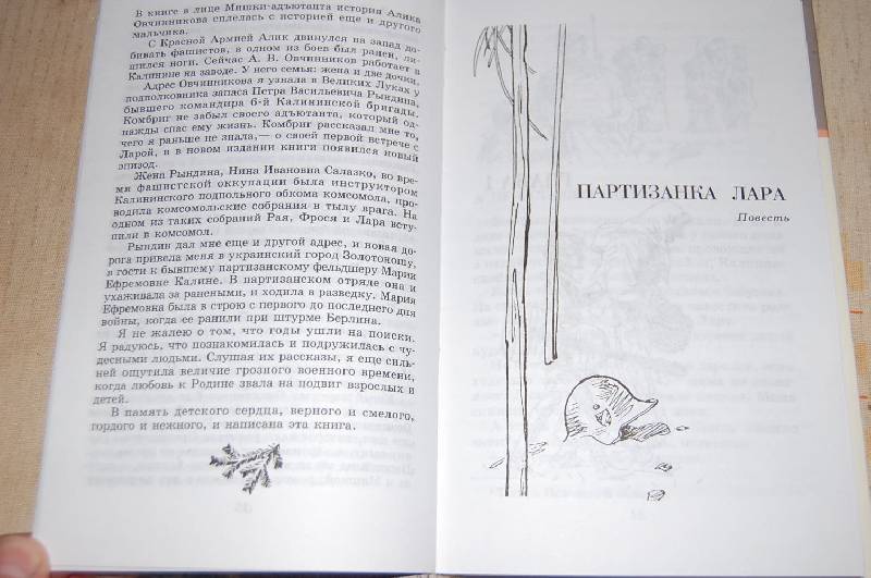 Иллюстрация 8 из 13 для Партизанка Лара - Надежда Надеждина | Лабиринт - книги. Источник: ИринаИ