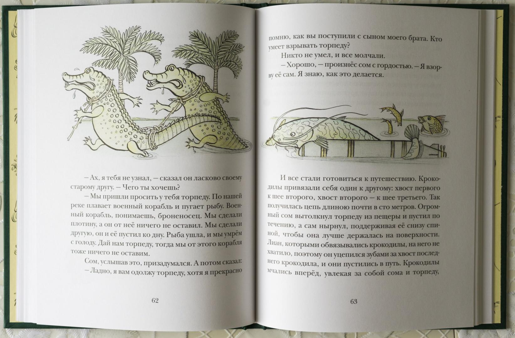 Иллюстрация 27 из 73 для Сказки сельвы: сказки о животных - Орасио Кирога | Лабиринт - книги. Источник: kvinden