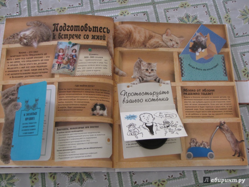 Иллюстрация 15 из 40 для Кошки. Подарок для всех, кто влюблен в кошек - Жан Кювелье | Лабиринт - книги. Источник: Nalyc