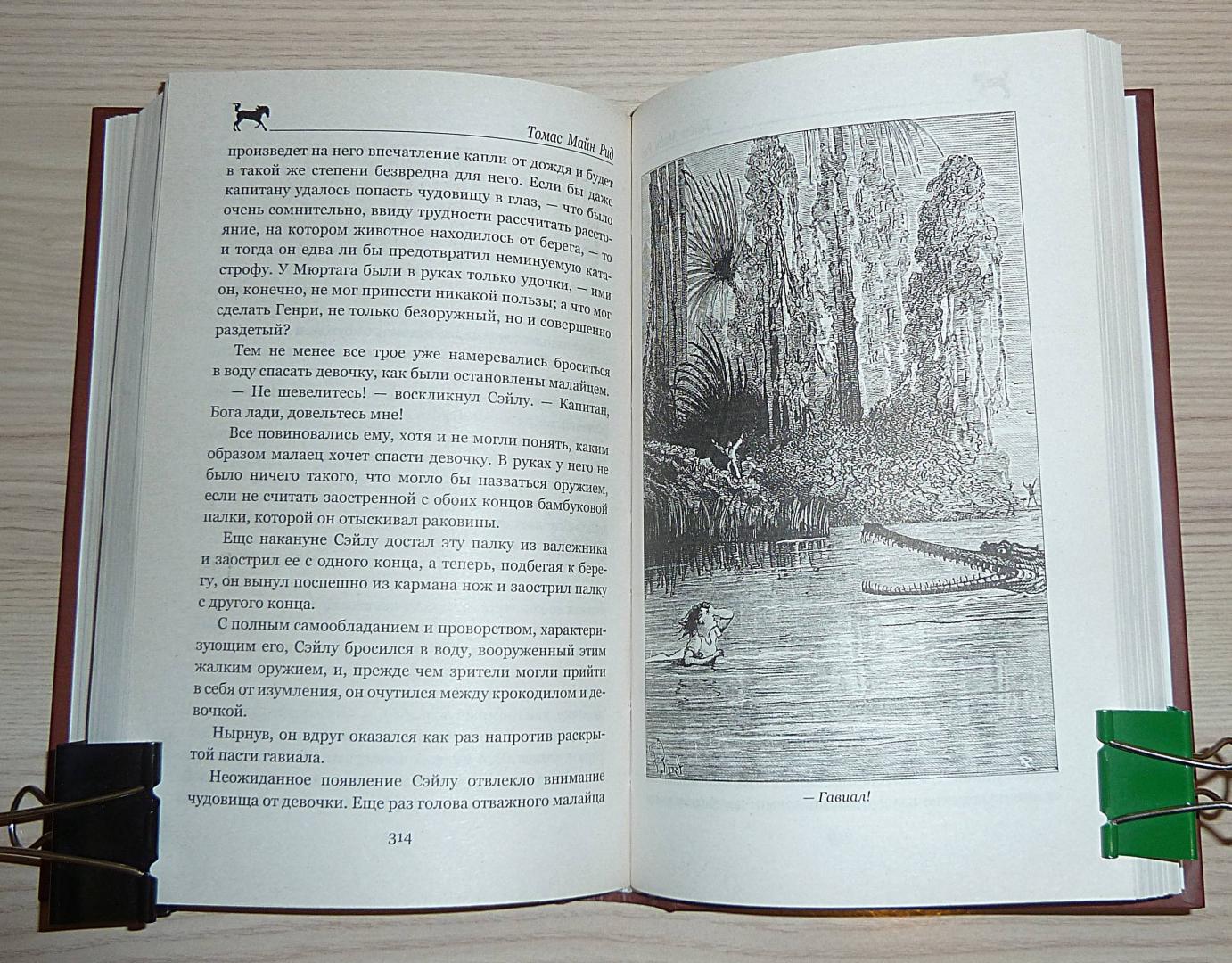 Иллюстрация 49 из 55 для Морской волчонок, или на дне трюма. Скитальцы Борнео, или Капитан Редвуд - Рид Майн | Лабиринт - книги. Источник: Взял на карандаш.