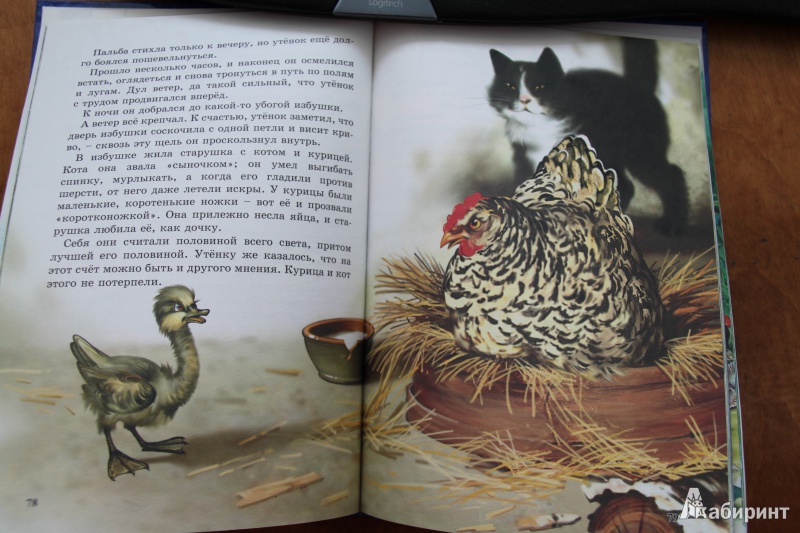 Иллюстрация 4 из 17 для Сказки - Ганс Андерсен | Лабиринт - книги. Источник: Svetka Svetkina