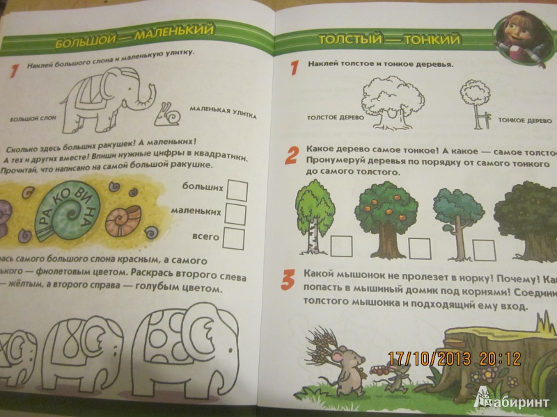 Иллюстрация 3 из 18 для Противоположности. Маша и Медведь. 4-5 лет | Лабиринт - книги. Источник: Карпеченко  Юля