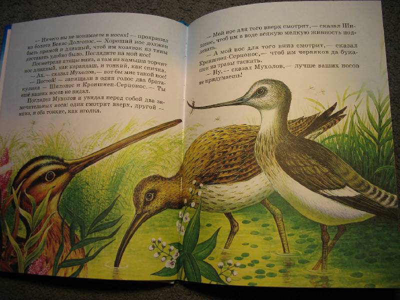 Иллюстрация 3 из 22 для Сказки о природе - Виталий Бианки | Лабиринт - книги. Источник: В  Светлана Е
