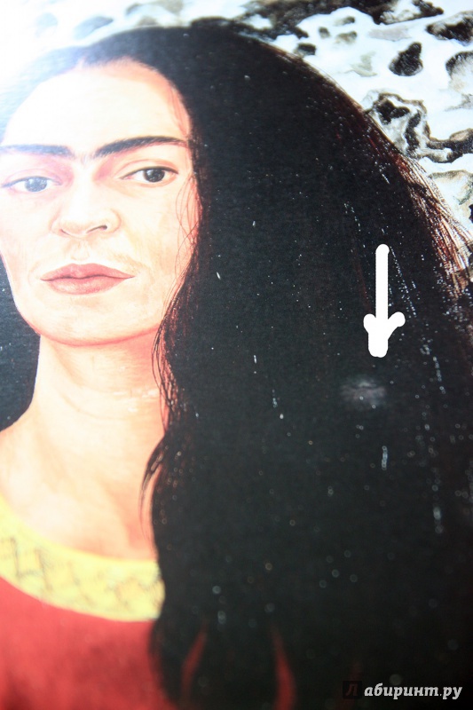 Иллюстрация 8 из 16 для Фрида Кало. Картины | Лабиринт - сувениры. Источник: Vera Grey
