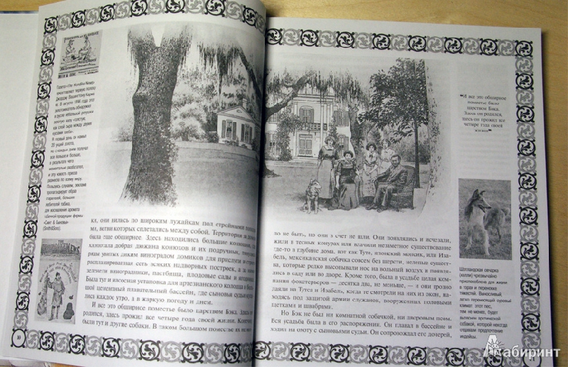 Иллюстрация 6 из 37 для Зов предков - Джек Лондон | Лабиринт - книги. Источник: Володина Ольга