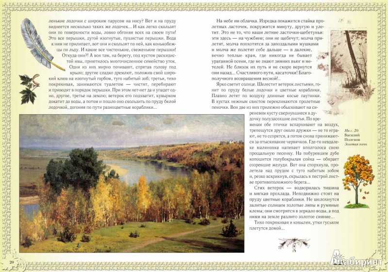 Иллюстрация 3 из 26 для Лепестки - Дмитрий Кайгородов | Лабиринт - книги. Источник: kartana