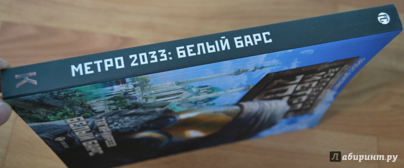 Иллюстрация 18 из 20 для Метро 2033. Белый барс - Тагир Киреев | Лабиринт - книги. Источник: Alex &amp; Anastasia
