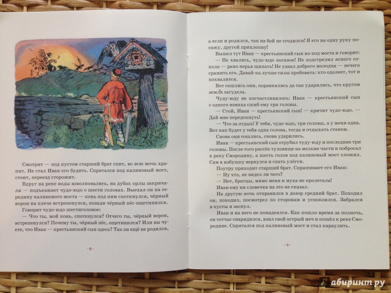 Иллюстрация 25 из 56 для Иван - крестьянский сын и чудо-юдо | Лабиринт - книги. Источник: Транжира