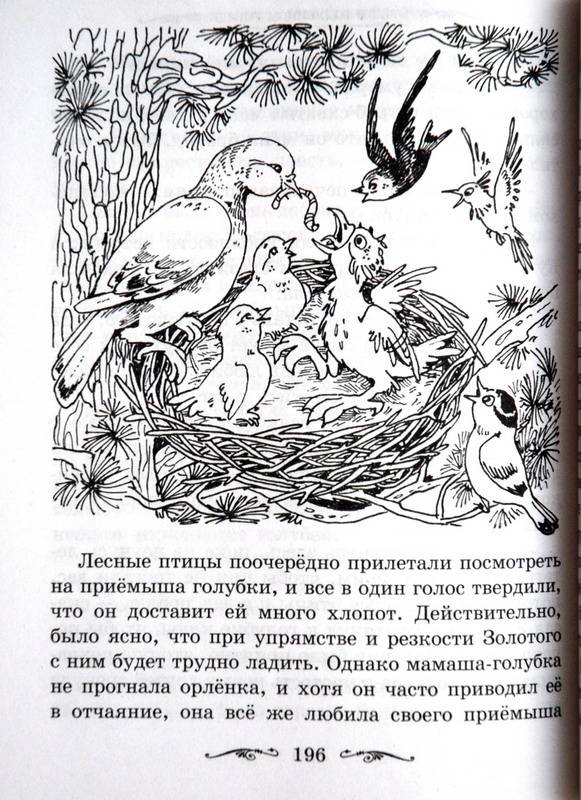 Иллюстрация 5 из 6 для Сказки зарубежных писателей | Лабиринт - книги. Источник: Ватрушка
