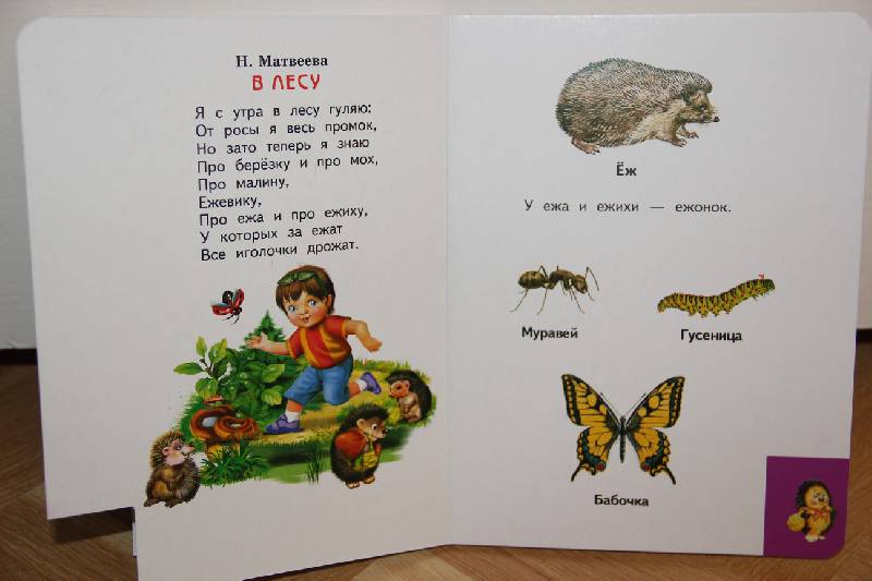Иллюстрация 7 из 9 для Лесные животные в стихах и картинках | Лабиринт - книги. Источник: Vilvarin  Laurea