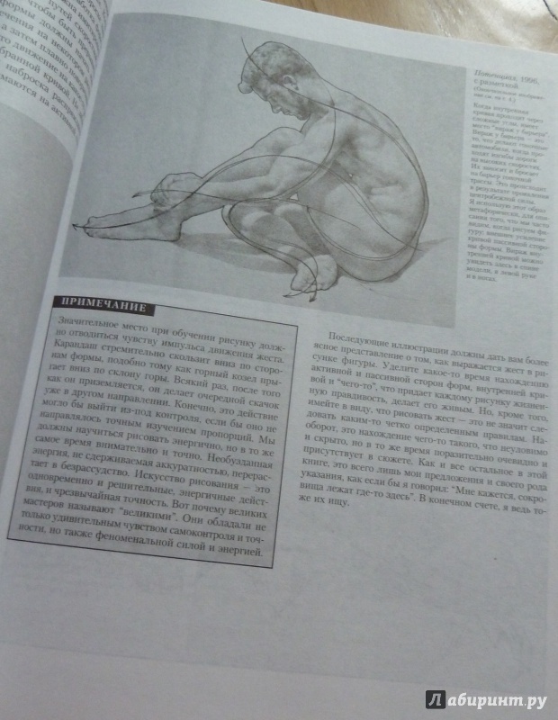 Иллюстрация 21 из 42 для Полное руководство по рисованию фигуры человека - Энтони Райдер | Лабиринт - книги. Источник: Лабиринт
