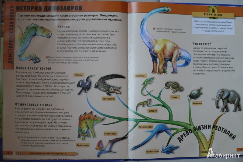 Иллюстрация 12 из 22 для Мир динозавров - Барбара Маевская | Лабиринт - книги. Источник: Гурова  Ксения