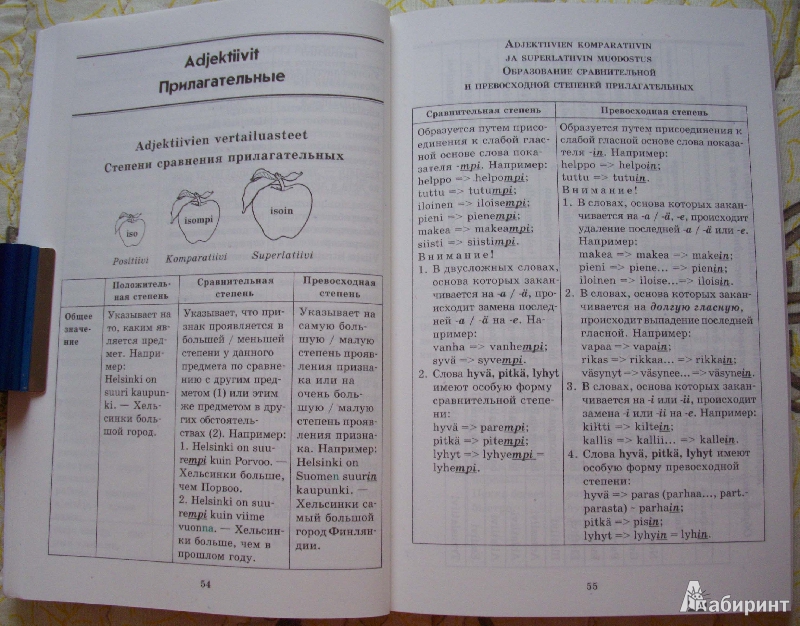Иллюстрация 10 из 16 для Финская грамматика в таблицах и схемах - Ангелина Журавлева | Лабиринт - книги. Источник: Спящая на ходу