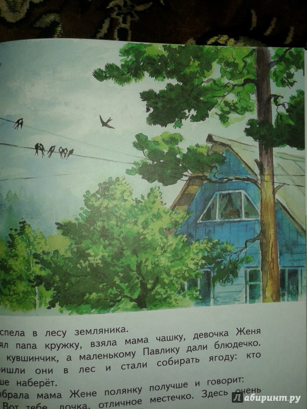 Иллюстрация 46 из 49 для Цветик-семицветик - Валентин Катаев | Лабиринт - книги. Источник: buga_ta