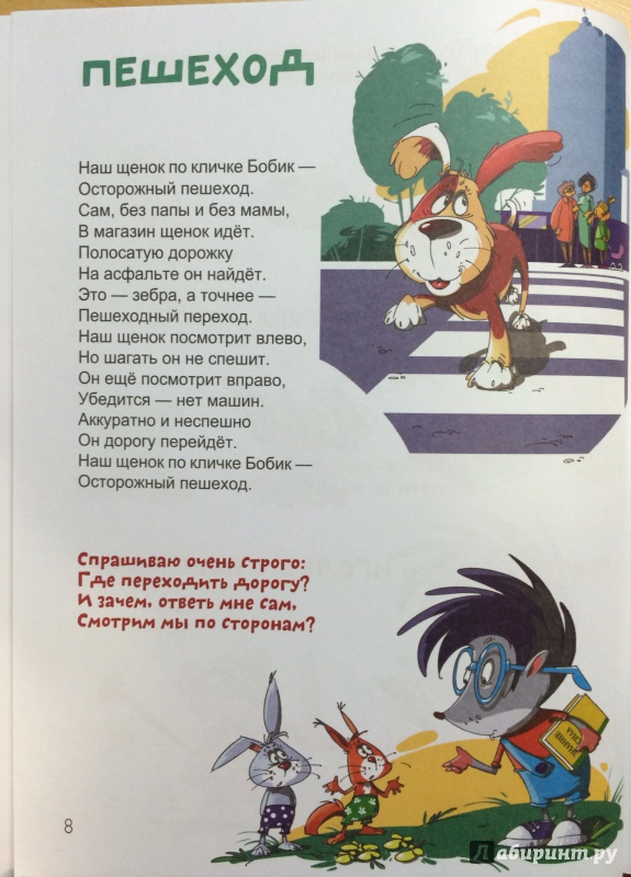 Иллюстрация 19 из 34 для Безопасность шаг за шагом - Анна Лукашева | Лабиринт - книги. Источник: Евгения Махина