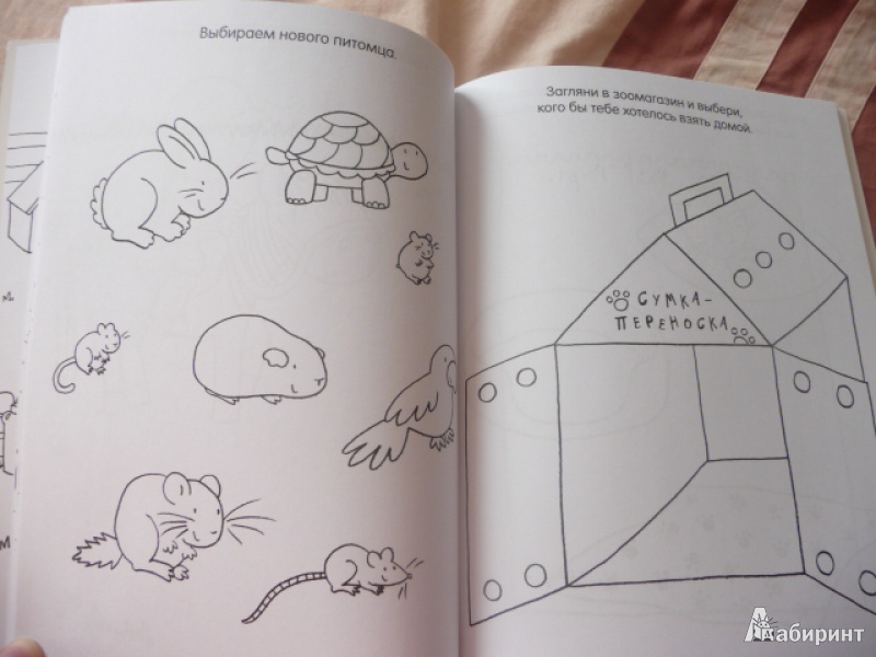 Иллюстрация 16 из 39 для Книга детского творчества. Забавные животные | Лабиринт - книги. Источник: Anyta23