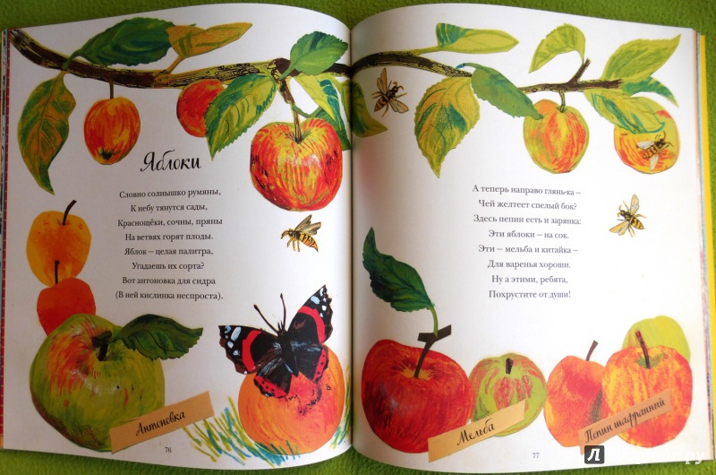 Иллюстрация 100 из 110 для Большая книга природы - Никола Дэвис | Лабиринт - книги. Источник: reader*s